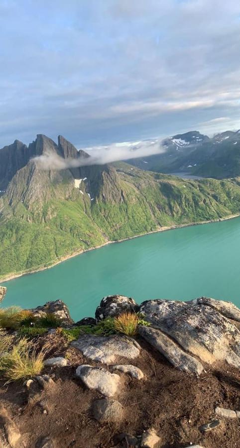 Rigmorhuset Villa Fjordgard Dış mekan fotoğraf