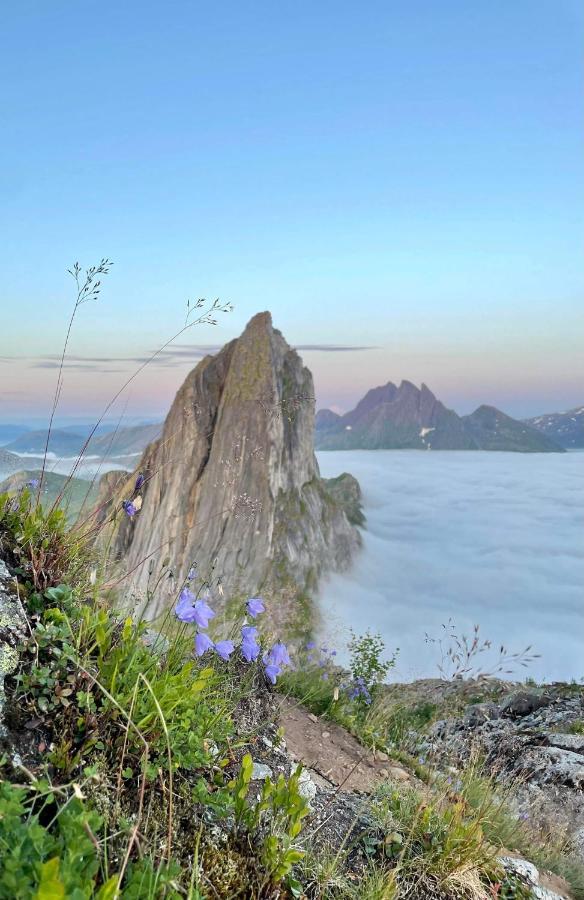Rigmorhuset Villa Fjordgard Dış mekan fotoğraf